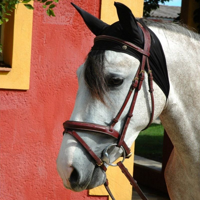 Bonnet anti-mouche cheval ergonomique Antifly Protect