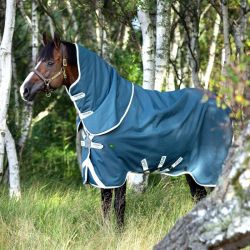 Couverture imperméable cheval Amigo Am Eco 12 plus turnout 0g - Horseware