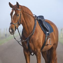 Collier de chasse élastique trois points avec martingale Micklem - Horseware