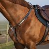 Collier de chasse élastique trois points avec martingale Micklem - Horseware