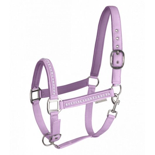 Licol cheval nylon matelassé Crystal - Waldhausen Licol cheval nylon matelassé Crystal - Waldhausen
