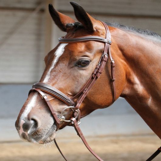 Bridon cuir souple muserolle pull-back Soft - Harry's Horse Bridon cuir souple muserolle pull-back Soft - Harry's Horse