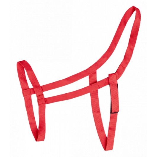 Licol cheval prairie sans boucles - Waldhausen Licol cheval prairie sans boucles - Waldhausen