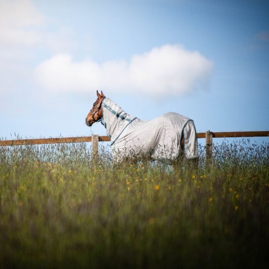 Chemise anti-mouche cheval Bug Rug Eco - Horseware 