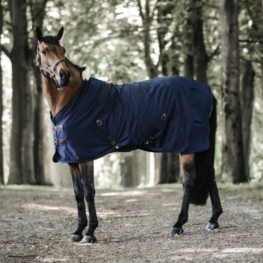 Chemise en coton cheval - Kentucky Horsewear