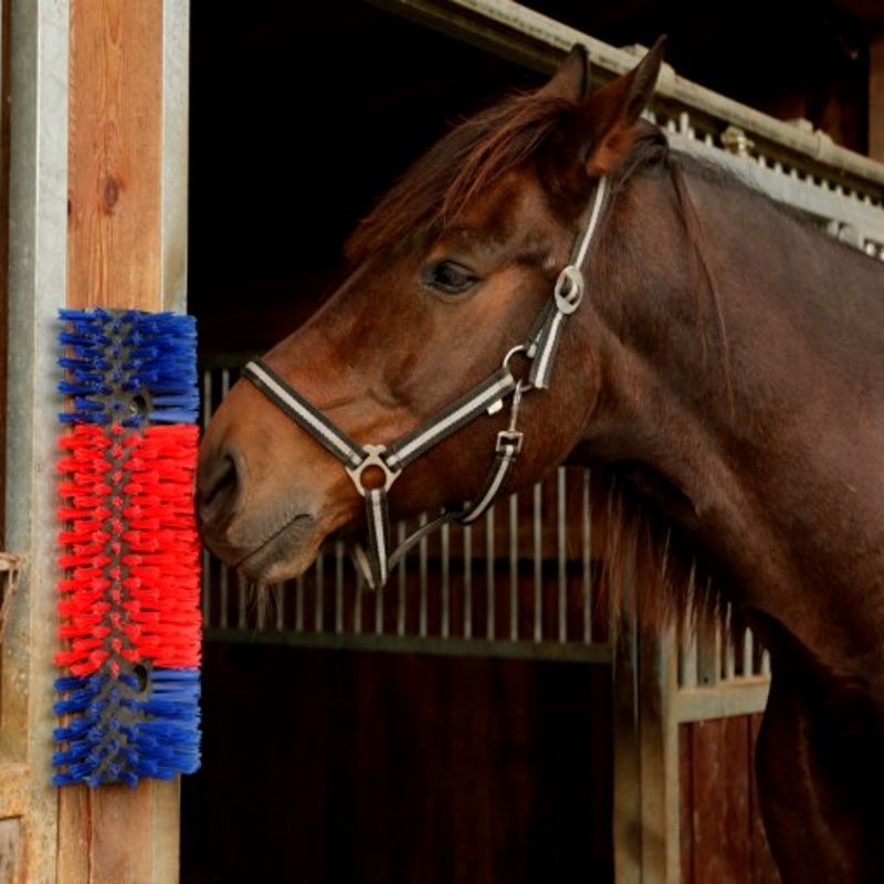 Brosse De Pansage MagicStrip MAVURA Pour Cheval – Cardette à Bandeau, Nettoyage Efficace