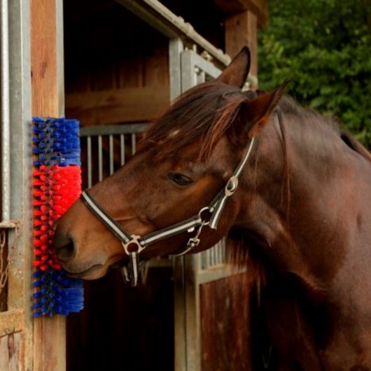 Brosse murale de grattage chevaux Brosse murale de grattage chevaux