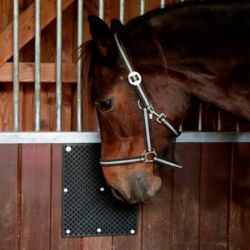 Plaque murale grattage chevaux 