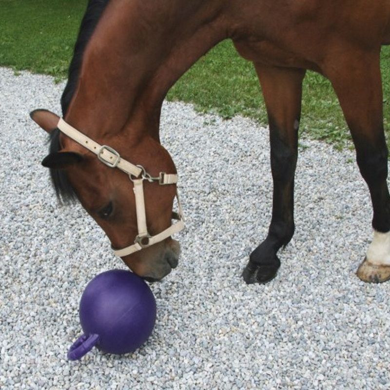 Balle jouet pour chevaux Horsen Around - STABLE PRO - Jouets