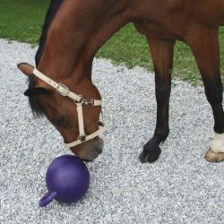 Balle jouet pour chevaux Horsen Around
