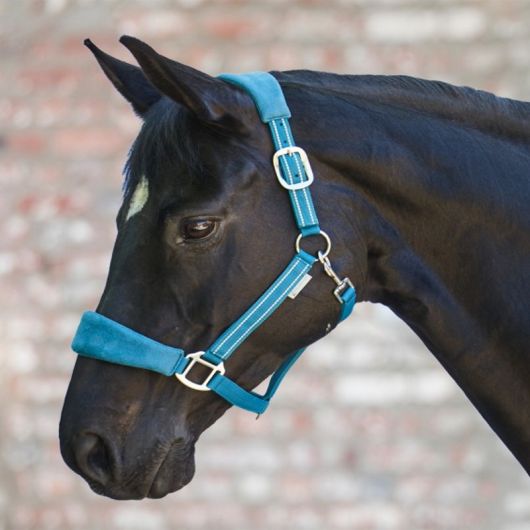 Licol cheval nylon matelassé Alcantara - Waldhausen Licol cheval nylon matelassé Alcantara - Waldhausen