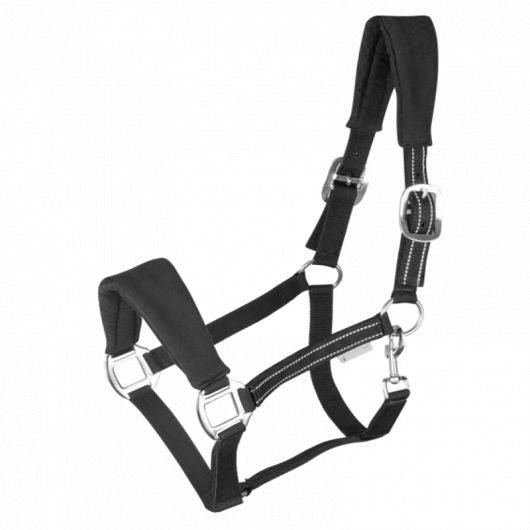 Licol cheval nylon matelassé Alcantara - Waldhausen Licol cheval nylon matelassé Alcantara - Waldhausen