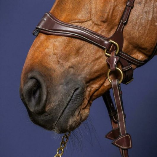 Bridon cheval en cuir 3 en 1 D Motion D Collection - Dy'on 