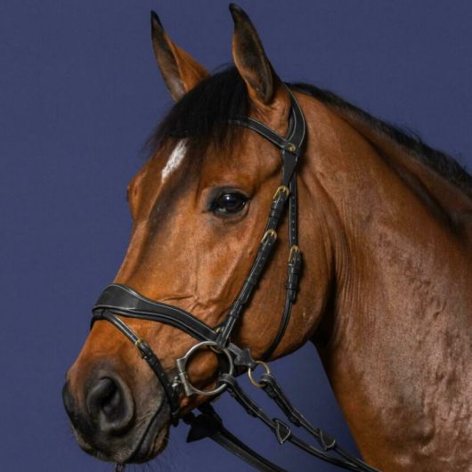 Bridon cheval en cuir 3 en 1 D Motion D Collection - Dy'on 