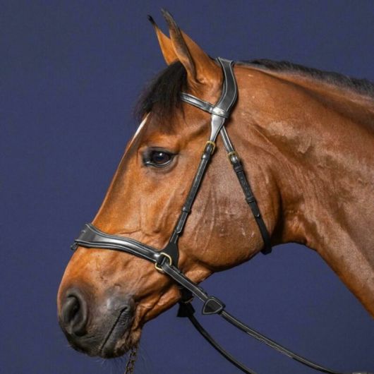 Bridon cheval en cuir 3 en 1 D Motion D Collection - Dy'on 