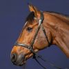 Bridon cheval en cuir 3 en 1 D Motion D Collection - Dy'on 