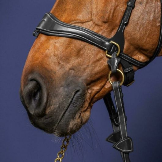 Bridon cheval en cuir 3 en 1 D Motion D Collection - Dy'on 