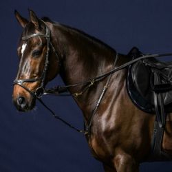 Fourche enrênement Howlett D Collection - Dy'on 