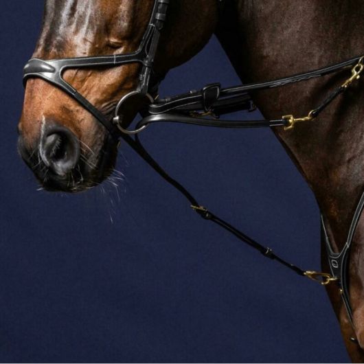 Fourche enrênement Howlett D Collection - Dy'on 