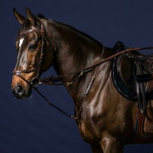 Fourche enrênement Howlett D Collection - Dy'on 