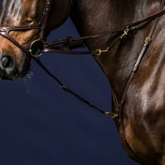 Fourche enrênement Howlett D Collection - Dy'on 