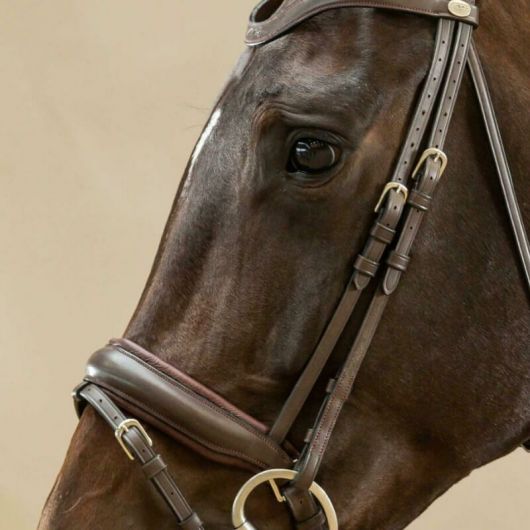 Montants de bridon dressage cheval Working Collection - Dy'on