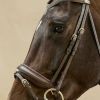 Montants de bridon dressage cheval Working Collection - Dy'on