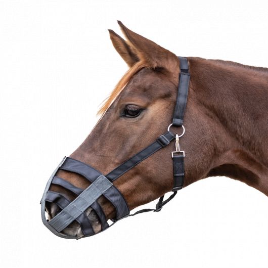 Muselière tissu cheval ou poney - Waldhausen Muselière tissu cheval ou poney - Waldhausen
