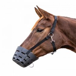 Muselière de pâturage cheval Easy Clean - Waldhausen