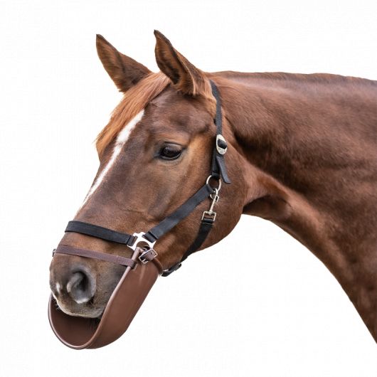 Bavette de couverture cheval - Waldhausen Bavette de couverture cheval - Waldhausen