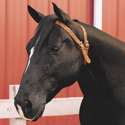 Collier anti-tiqueur cheval cuir Miracle - Weaver Collier anti-tiqueur cheval cuir Miracle - Weaver