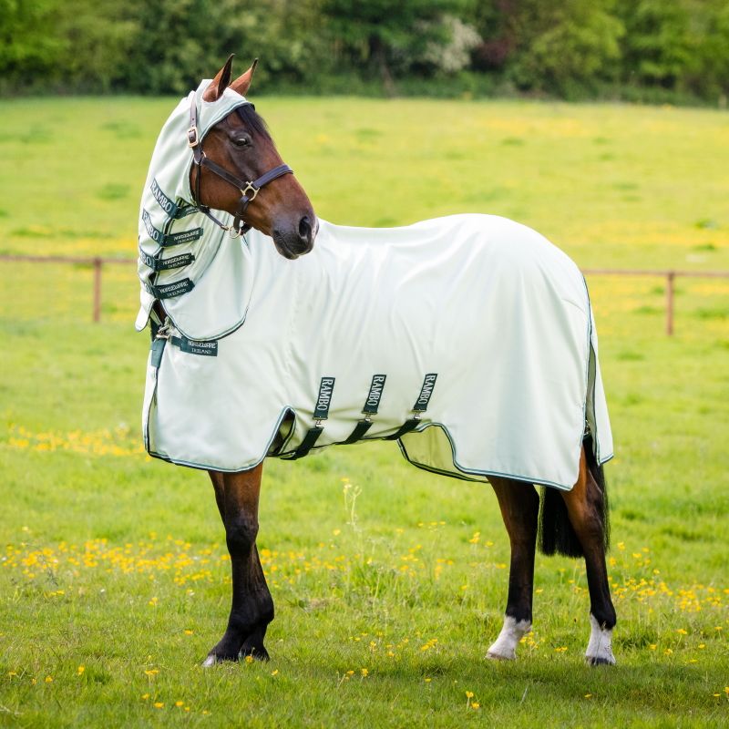 Chemise anti-mouche cheval avec couvre-cou Rambo Sweet itch Hoody Horseware