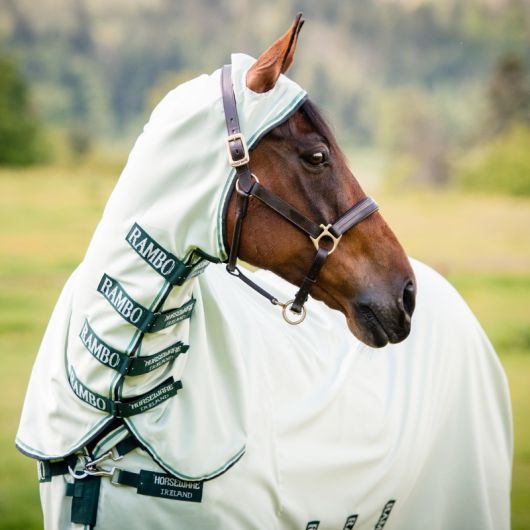 Chemise anti-mouche cheval avec couvre-cou Rambo Sweet itch Hoody Horseware