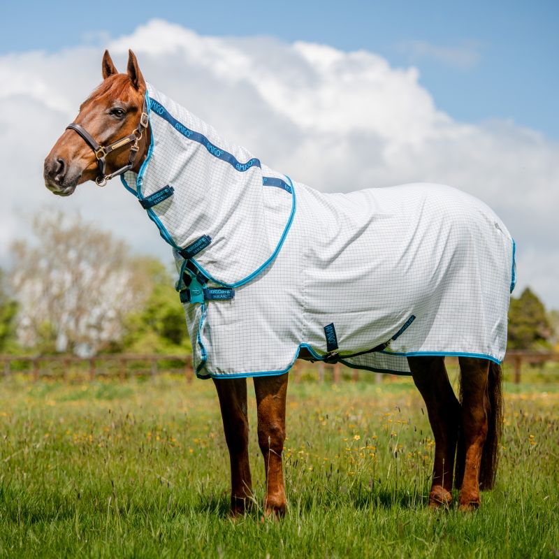 Chemise anti-mouche anti-UV cheval avec couvre-cou Amigo Aussie All Rounder - Horseware