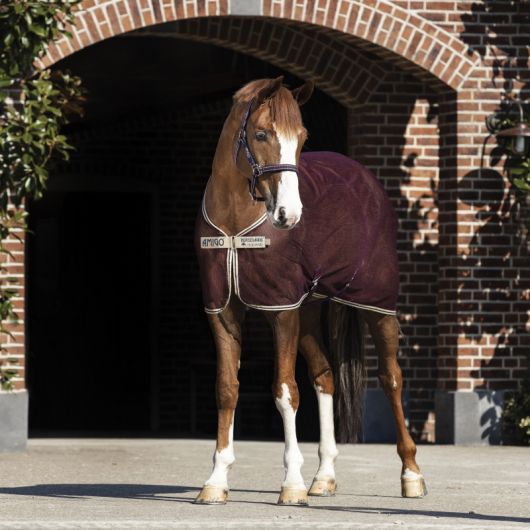 Chemise séchante cheval Amigo Net Cooler - Horseware Chemise séchante cheval Amigo Net Cooler - Horseware