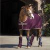 Chemise séchante cheval Amigo Jersey Cooler - Horseware