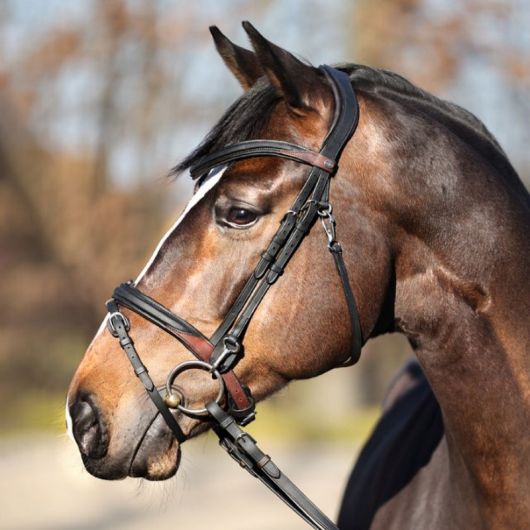 Bridon cheval cuir Every Day - Kavalkade Bridon cheval cuir Every Day - Kavalkade