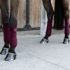 Bandes de polo Velvet - Kentucky Horsewear