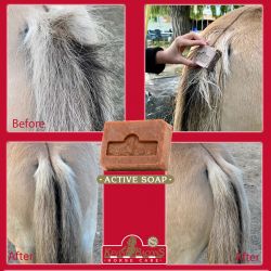 Savon dermite estivale cheval Active soap - Kevin Bacon's