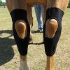 Protège Jarret cheval technologie Titane Liquide - Fenwick 