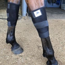 Protège genoux cheval thérapeutique technologie Titane Liquide - Fenwick 