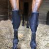 Protège genoux cheval thérapeutique technologie Titane Liquide - Fenwick 