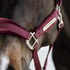 Licol cheval Velvet - Kentucky Horsewear