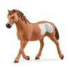 Kit Equipe de Cowboy et leurs lassos - Schleich