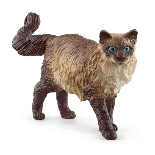 Figurine chat Ragdoll - Schleich 