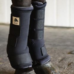 Guêtres d'écurie cheval Stable Boots Technologie Titane Liquide - Fenwick 