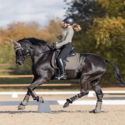 Tapis de selle cheval avec garrot en mouton Pegasus - Waldhausen