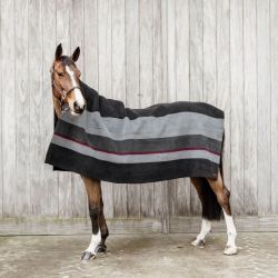 Chemise séchante cheval Heavy Stripes - Kentucky Horsewear