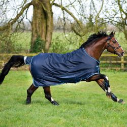 Couverture extérieur 400 g Amigo Bravo - Horseware