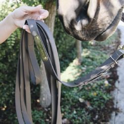 Longe pour étalon Stallion Lead en polyuréthanne - Kentucky Horsewear 